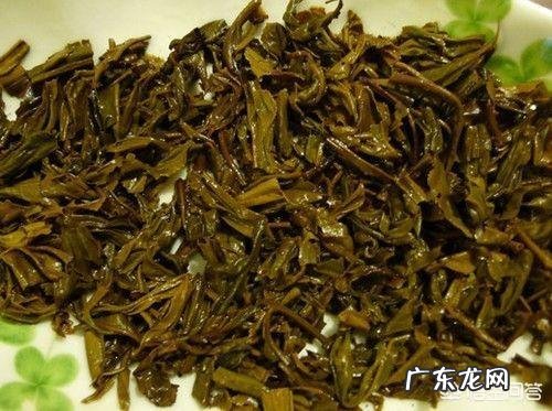 泡过的茶叶渣可以放在绿植盆栽里吗?