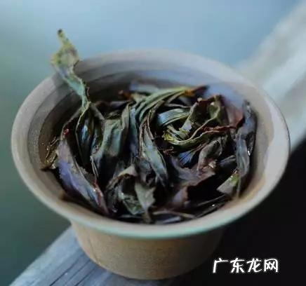 泡过的茶叶渣可以放在绿植盆栽里吗?