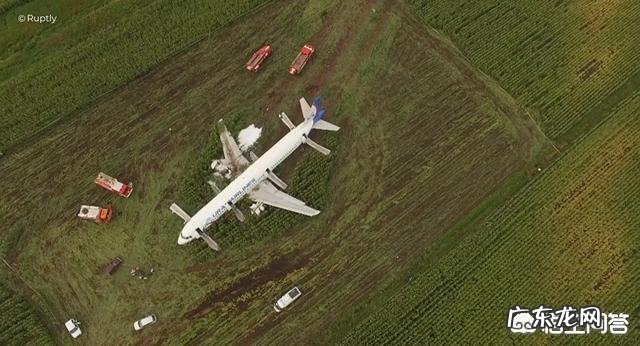 8月15日搭载233名乘客的航班紧急迫降一片玉米地,这个飞机怎么回机场呢?