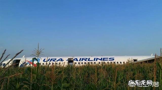 8月15日搭载233名乘客的航班紧急迫降一片玉米地,这个飞机怎么回机场呢?