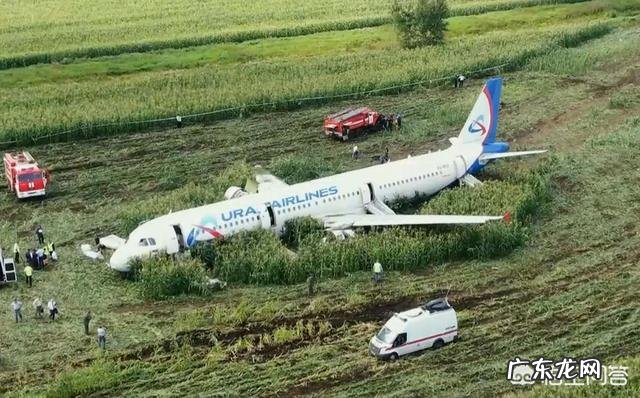 8月15日搭载233名乘客的航班紧急迫降一片玉米地,这个飞机怎么回机场呢?
