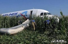 8月15日搭载233名乘客的航班紧急迫降一片玉米地，这个飞机怎么回机场呢？
