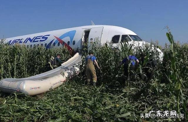8月15日搭载233名乘客的航班紧急迫降一片玉米地,这个飞机怎么回机场呢?