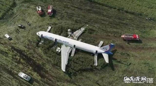 8月15日搭载233名乘客的航班紧急迫降一片玉米地,这个飞机怎么回机场呢?