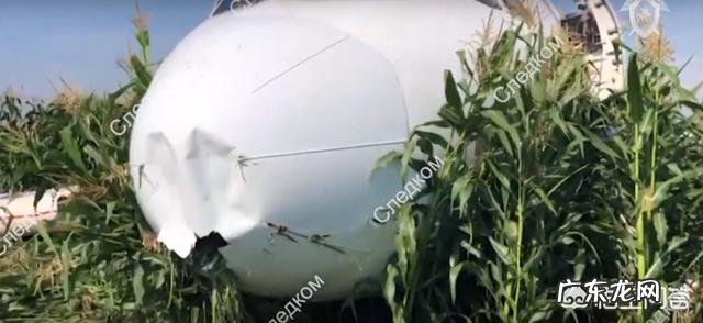 8月15日搭载233名乘客的航班紧急迫降一片玉米地,这个飞机怎么回机场呢?