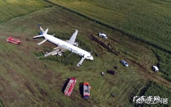 8月15日搭载233名乘客的航班紧急迫降一片玉米地,这个飞机怎么回机场呢?