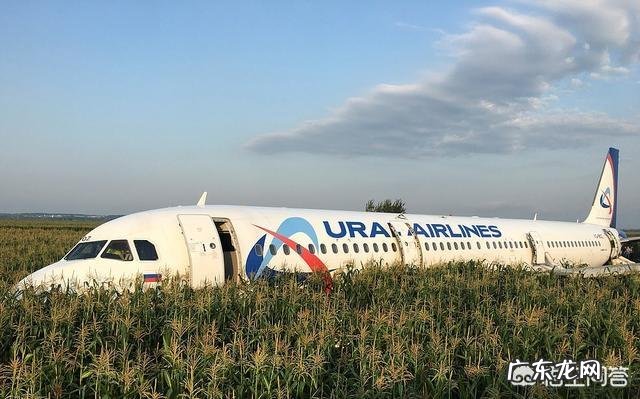 8月15日搭载233名乘客的航班紧急迫降一片玉米地,这个飞机怎么回机场呢?