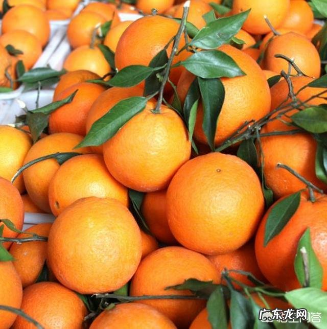 脐橙的功效体现在哪些方面?