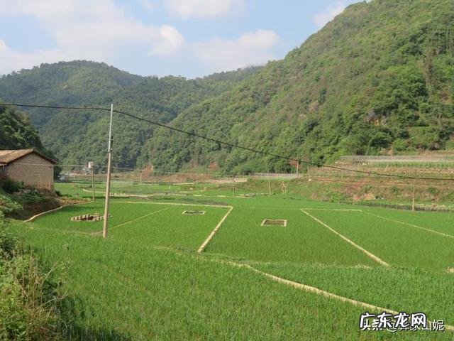 想回农村搞养殖，小本投资的有哪些？