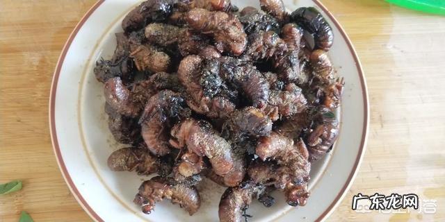 想回农村搞养殖，小本投资的有哪些？