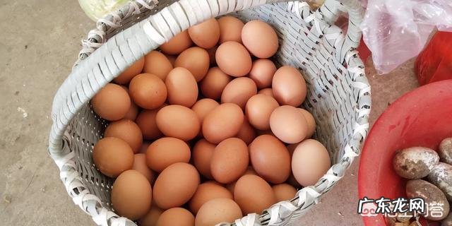 想回农村搞养殖，小本投资的有哪些？