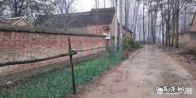 想回农村搞养殖，小本投资的有哪些？