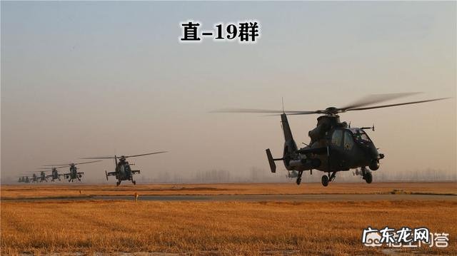 中国直19侦查直升机和直9武装直升机,在做战方面哪个会更优秀?