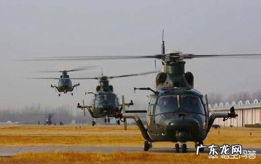 中国直19侦查直升机和直9武装直升机,在做战方面哪个会更优秀?