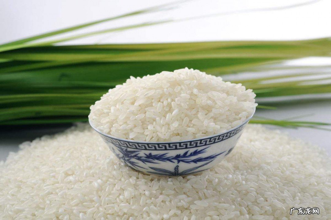 大米保存10年的方法