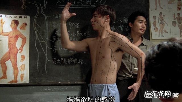 桑葚有什么功能？