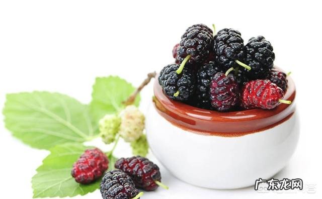 桑葚有什么功能？