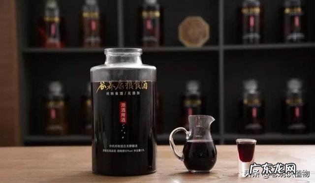 桑葚有什么功能？