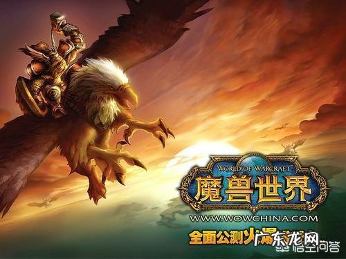 有哪些上手可玩性高的网游?