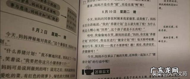 小学日记应该怎么写?