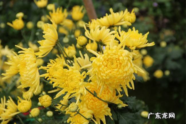 殡葬行业怎么做