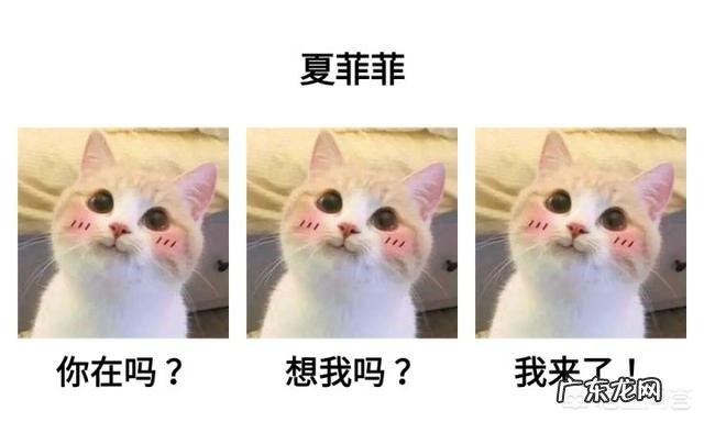 有什么软件可以制作QQ表情包用来斗图?