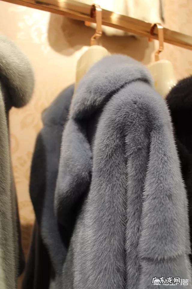 水貂衣服怎么样保养?