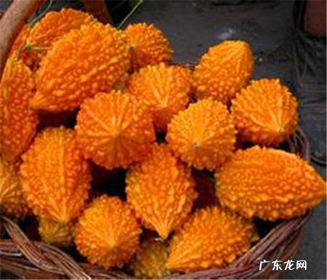 有哪些果蔬长相怪异却无比美味?