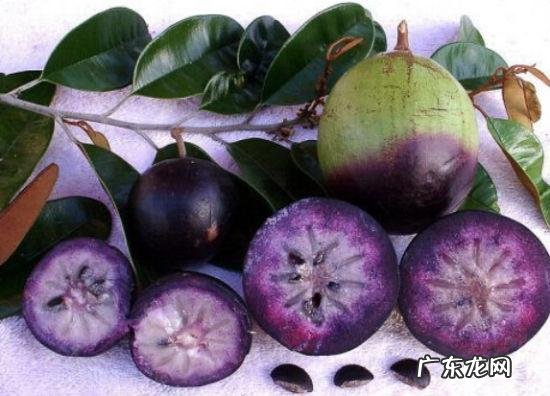 有哪些果蔬长相怪异却无比美味?