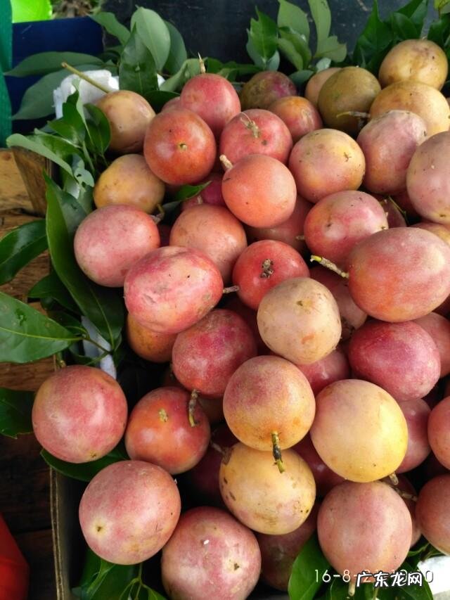 有哪些果蔬长相怪异却无比美味?