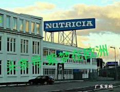 世界奶粉排名前十名是哪些品牌？