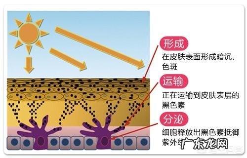 皮肤突然变黑怎么回事不是晒的,短期内变黑了