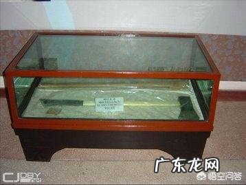 历史上有哪些躺着也中枪的事?