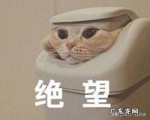 历史上有哪些躺着也中枪的事?