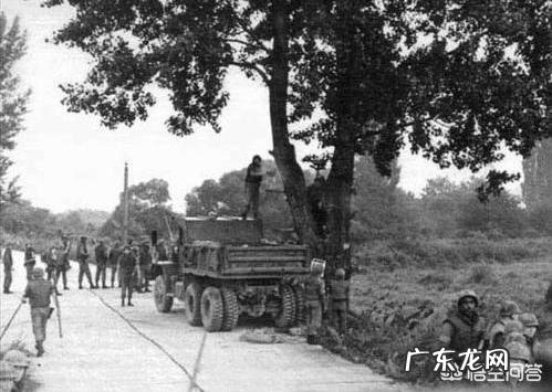 历史上有哪些躺着也中枪的事?