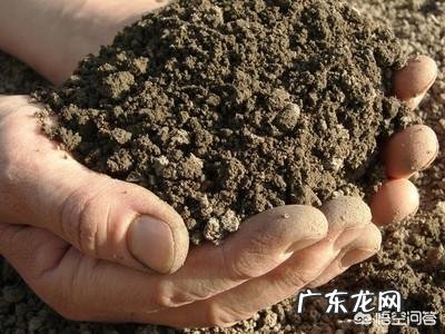 土壤ph值5左右用什么方法提高PH值?