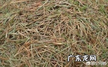 土壤ph值5左右用什么方法提高PH值?