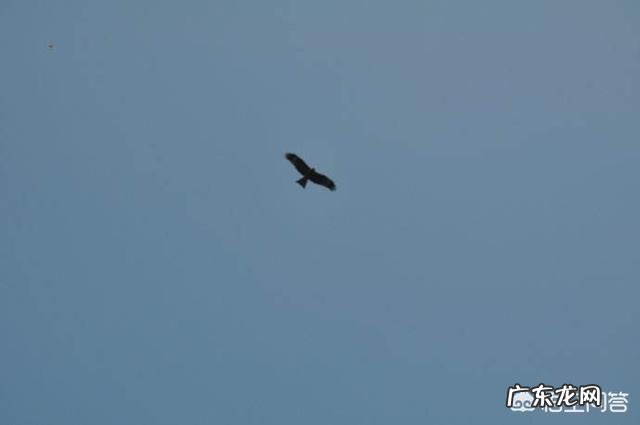 你是如何禁欲克己的?后来怎么样了?