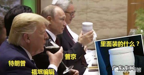 普京在G20晚宴上用保温杯敬酒,里面装的啥?