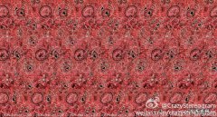 三维立体图怎么看