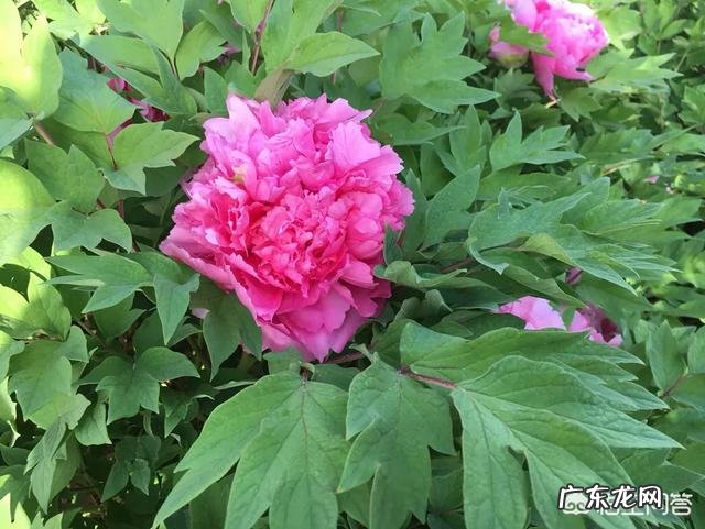 如何让自己喜欢的女孩知道自己在暗恋她？