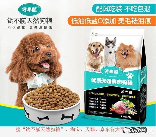 怎么测试狗的智商?