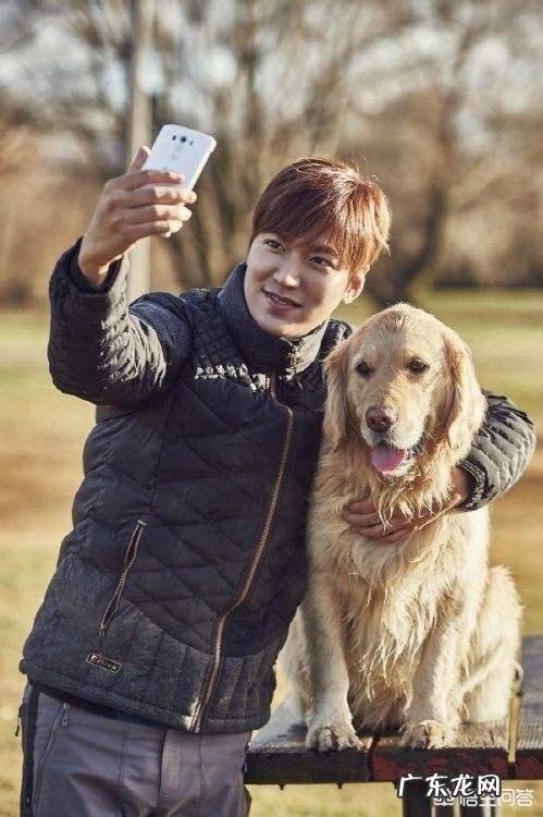 怎么测试狗的智商？