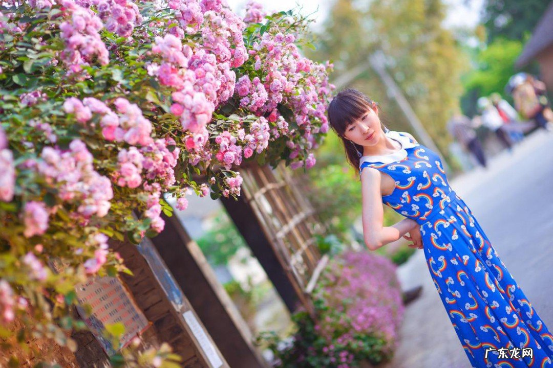 蔷薇花的花语是什么