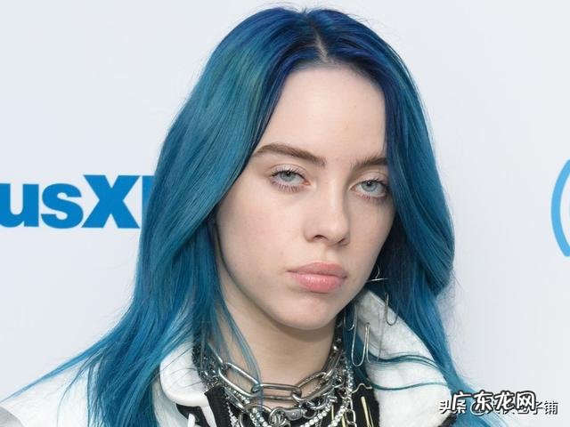 在欧美,有哪些很厉害的小众歌手?