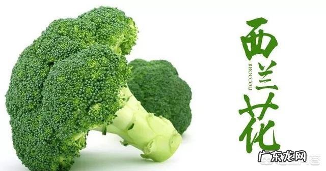 西兰花有什么营养价值？