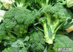 西兰花有什么营养价值？