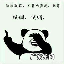 为什么有人觉得山东卫视没有好的主持人？