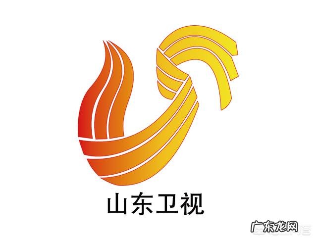 为什么有人觉得山东卫视没有好的主持人？