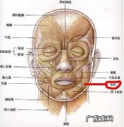 瘦脸针安全吗？注射瘦脸针后要注意什么？